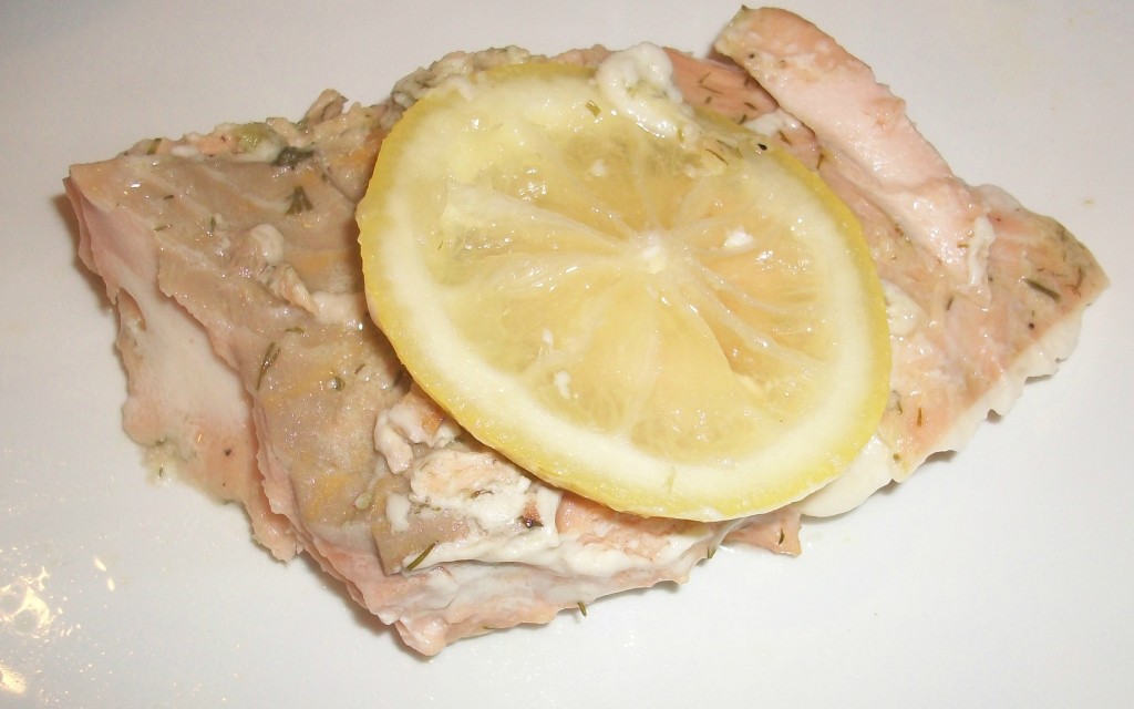 salmon