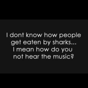 I don't know how people get eaten by sharks. Don't they hear the music?