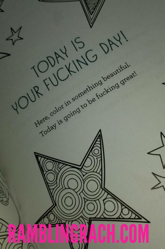 Make today a great day!  Let That Shit Go Journal