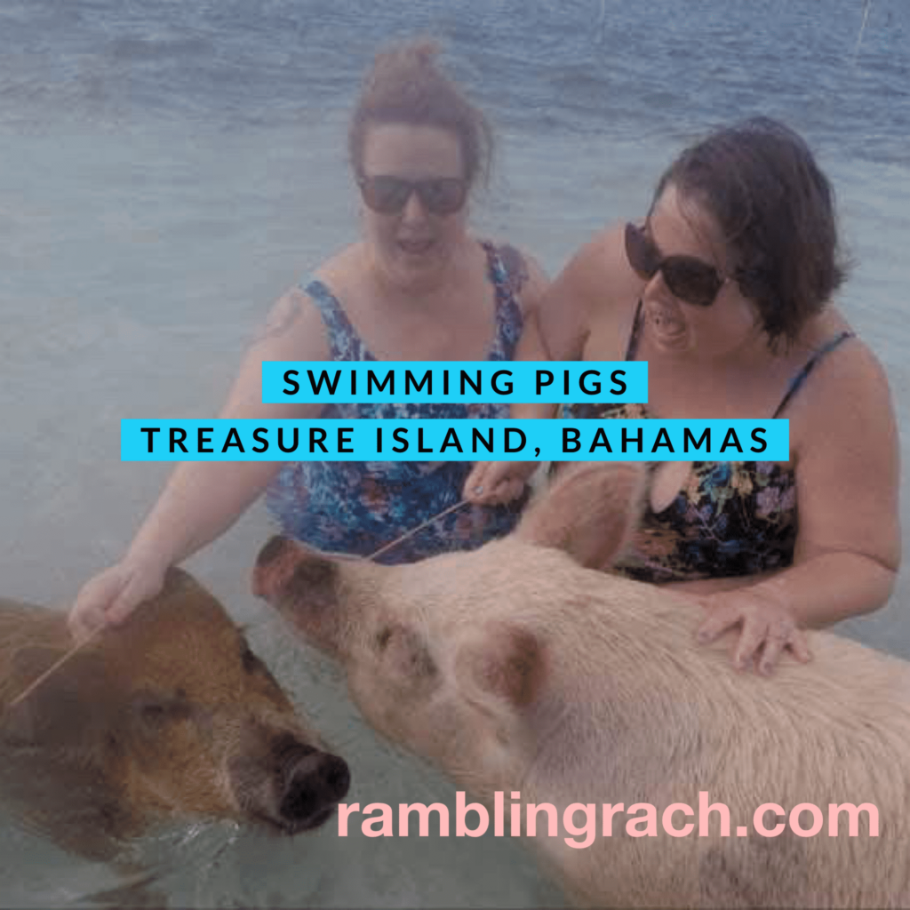 Swimming with pigs at Coco Cay Bahamas 