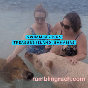 Swimming with pigs at Coco Cay Bahamas