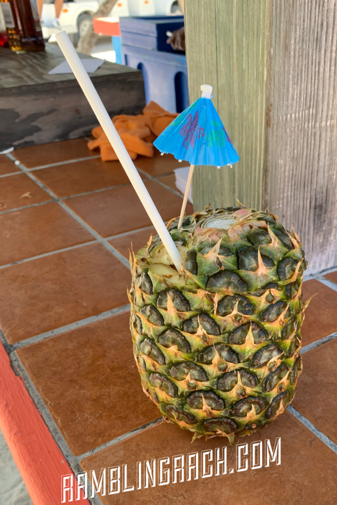 Pineapple on the beach in Coco Cay Bahamas 