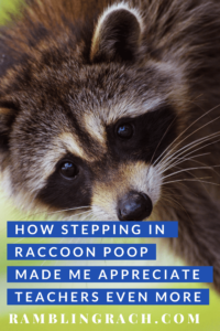 I appreciate teachers more after stepping in raccoon poop.
