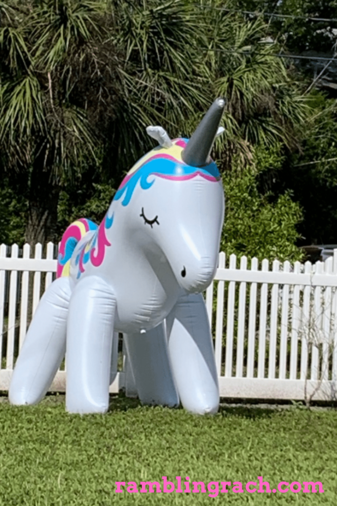 Tybee Island unicorn 