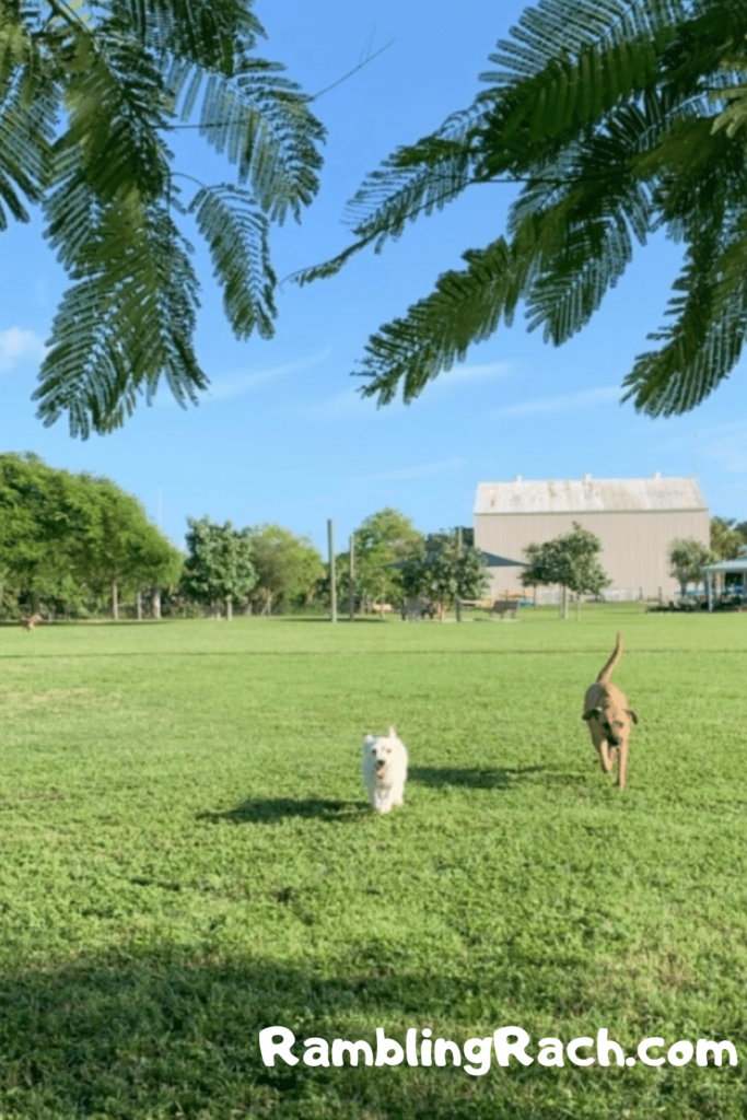 Vero Beach, FL dog park